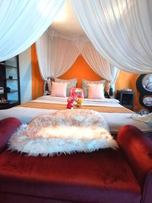 Suite Island Colmar Luaran gambar