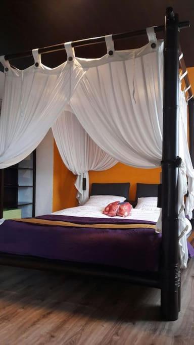 Suite Island Colmar Luaran gambar